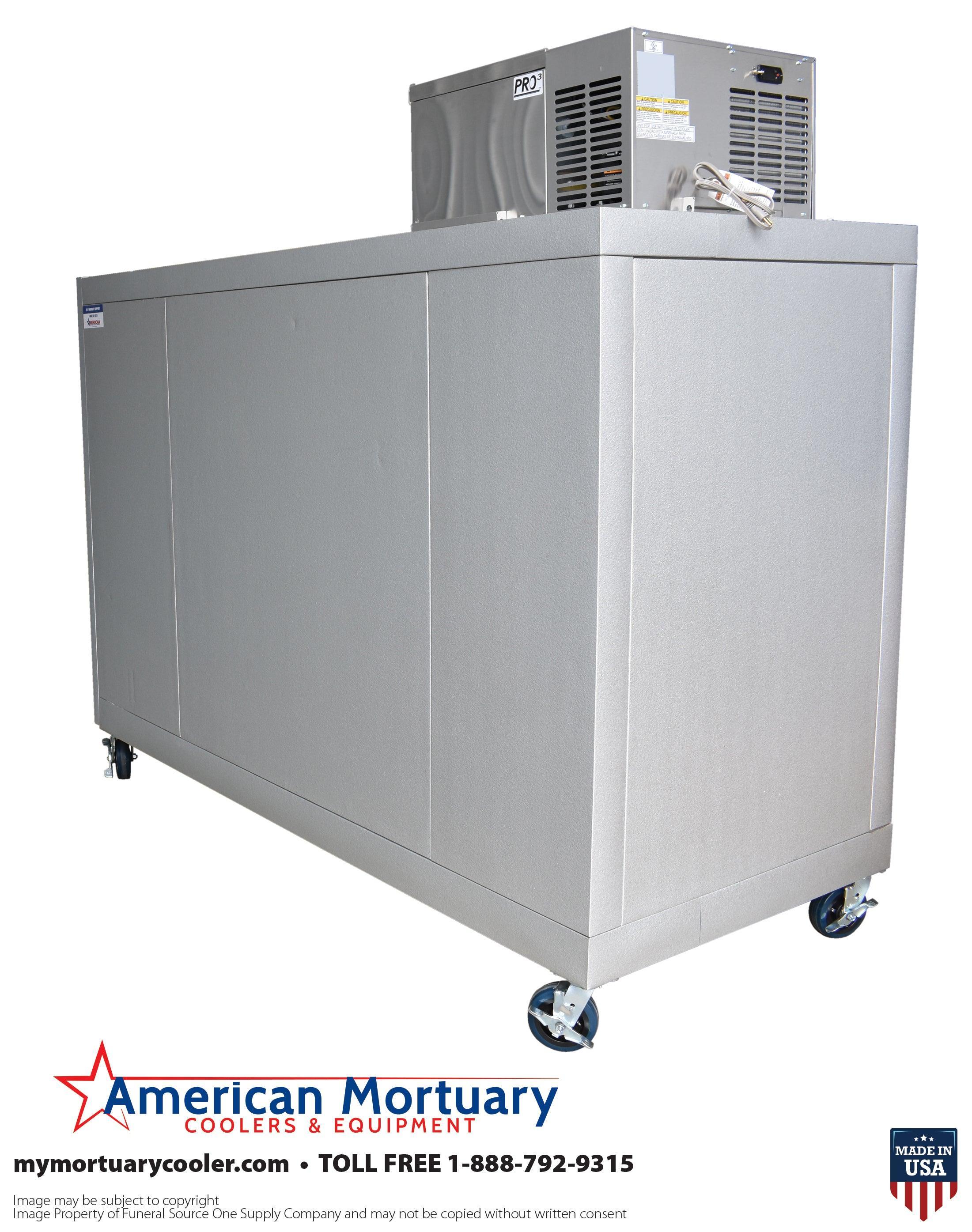 Affordable 3 Body Mortuary Cooler | 3BX Model | Reliable Body Storage
